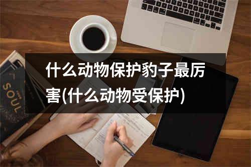 什么动物保护豹子最厉害(什么动物受保护)