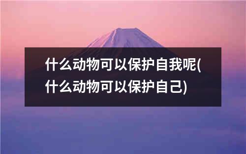 什么动物可以保护自我呢(什么动物可以保护自己)