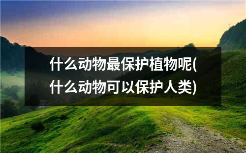 什么动物最保护植物呢(什么动物可以保护人类)