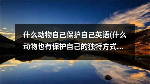 什么动物自己保护自己英语(什么动物也有保护自己的独特方式)