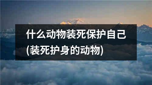 什么动物装死保护自己(装死护身的动物)