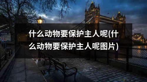 什么动物要保护主人呢(什么动物要保护主人呢图片)