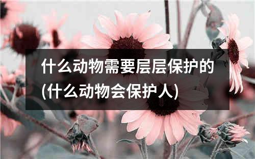 什么动物需要层层保护的(什么动物会保护人)