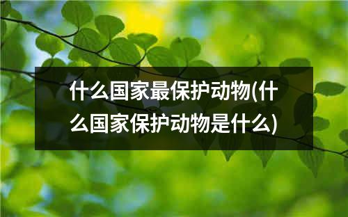 什么国家最保护动物(什么国家保护动物是什么)