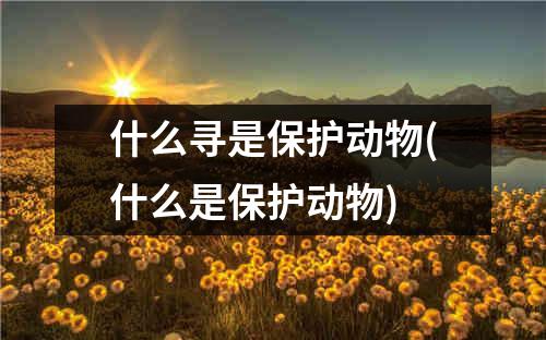 什么寻是保护动物(什么是保护动物)