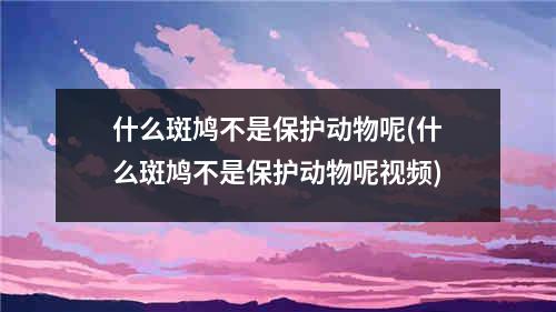 什么斑鸠不是保护动物呢(什么斑鸠不是保护动物呢视频)