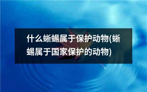 什么蜥蜴属于保护动物(蜥蜴属于国家保护的动物)