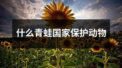 什么青蛙国家保护动物