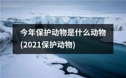 今年保护动物是什么动物(2021保护动物)