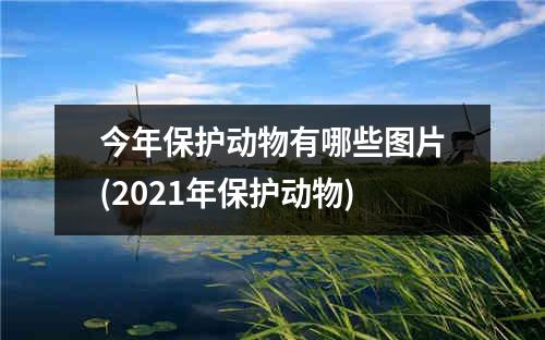 今年保护动物有哪些图片(2021年保护动物)