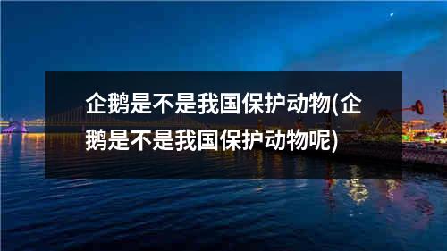 企鹅是不是我国保护动物(企鹅是不是我国保护动物呢)