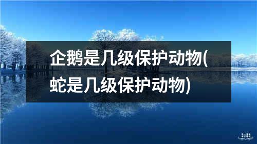 企鹅是几级保护动物(蛇是几级保护动物)