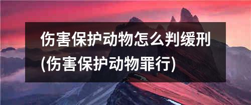 伤害保护动物怎么判缓刑(伤害保护动物罪行)