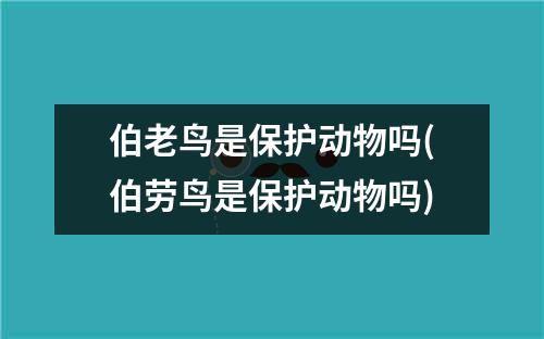 伯老鸟是保护动物吗(伯劳鸟是保护动物吗)