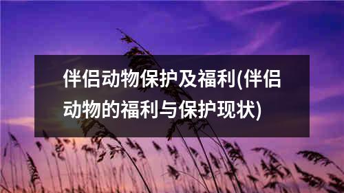 伴侣动物保护及福利(伴侣动物的福利与保护现状)