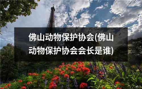 佛山动物保护协会(佛山动物保护协会会长是谁)