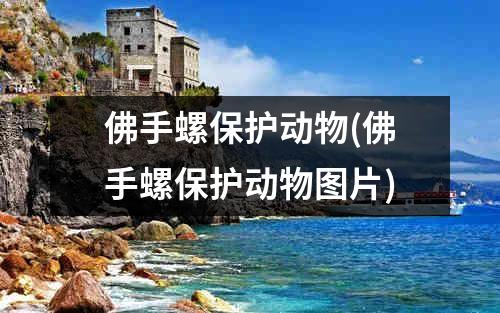 佛手螺保护动物(佛手螺保护动物图片)