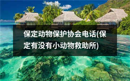 保定动物保护协会电话(保定有没有小动物救助所)