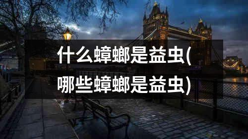 什么蟑螂是益虫(哪些蟑螂是益虫)