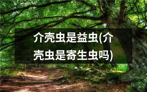 介壳虫是益虫(介壳虫是寄生虫吗)