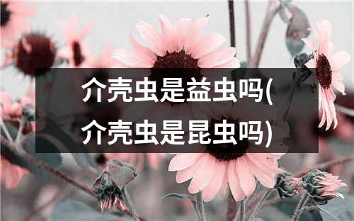 介壳虫是益虫吗(介壳虫是昆虫吗)