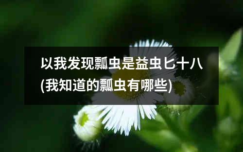 以我发现瓢虫是益虫匕十八(我知道的瓢虫有哪些)