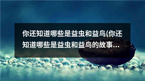 你还知道哪些是益虫和益鸟(你还知道哪些是益虫和益鸟的故事)