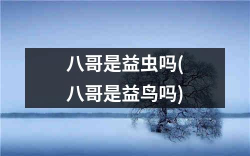 八哥是益虫吗(八哥是益鸟吗)