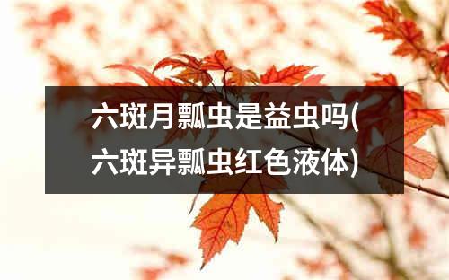 六斑月瓢虫是益虫吗(六斑异瓢虫红色液体)