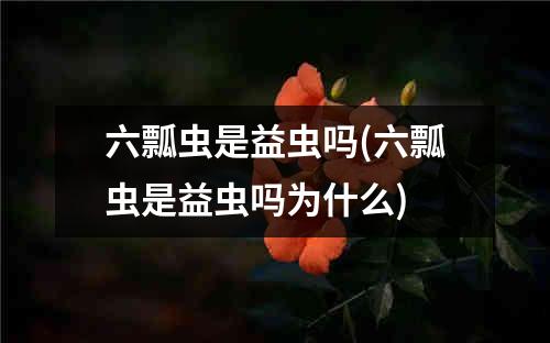 六瓢虫是益虫吗(六瓢虫是益虫吗为什么)