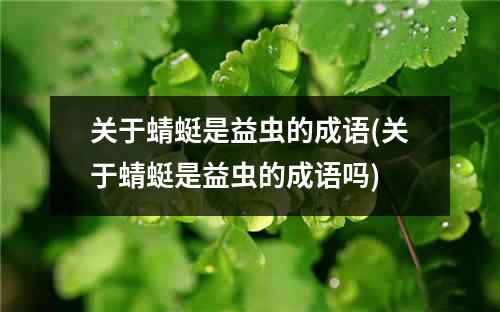 关于蜻蜓是益虫的成语(关于蜻蜓是益虫的成语吗)