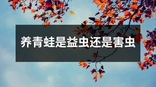 养青蛙是益虫还是害虫