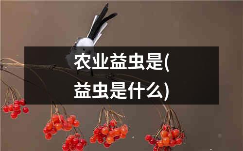 农业益虫是(益虫是什么)