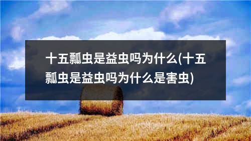 十五瓢虫是益虫吗为什么(十五瓢虫是益虫吗为什么是害虫)