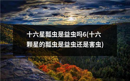 十六星瓢虫是益虫吗6(十六颗星的瓢虫是益虫还是害虫)