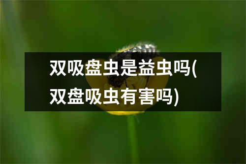 双吸盘虫是益虫吗(双盘吸虫有害吗)