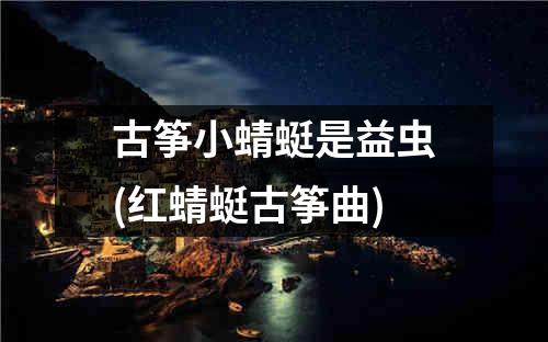 古筝小蜻蜓是益虫(红蜻蜓古筝曲)