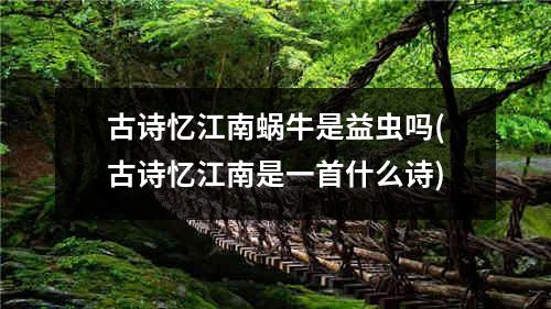 古诗忆江南蜗牛是益虫吗(古诗忆江南是一首什么诗)