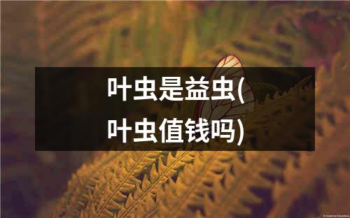 叶虫是益虫(叶虫值钱吗)