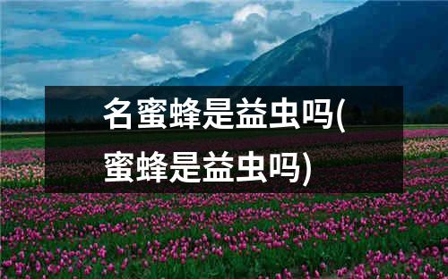 名蜜蜂是益虫吗(蜜蜂是益虫吗)