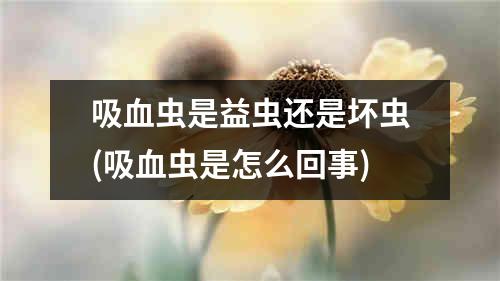 吸血虫是益虫还是坏虫(吸血虫是怎么回事)