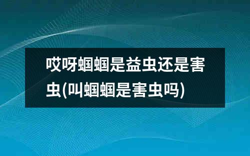 哎呀蝈蝈是益虫还是害虫(叫蝈蝈是害虫吗)