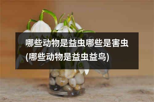 哪些动物是益虫哪些是害虫(哪些动物是益虫益鸟)