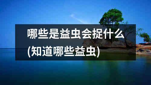 哪些是益虫会捉什么(知道哪些益虫)