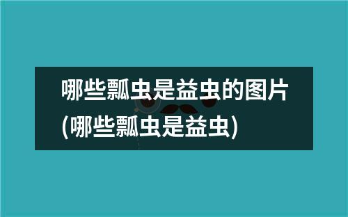 哪些瓢虫是益虫的图片(哪些瓢虫是益虫)