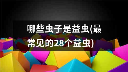 哪些虫子是益虫(最常见的28个益虫)