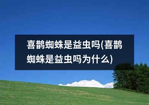 喜鹊蜘蛛是益虫吗(喜鹊蜘蛛是益虫吗为什么)