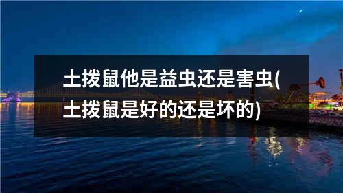 土拨鼠他是益虫还是害虫(土拨鼠是好的还是坏的)