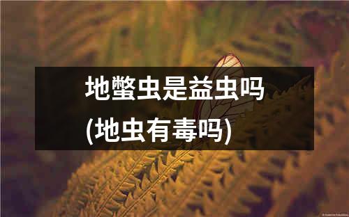 地蟞虫是益虫吗(地虫有毒吗)