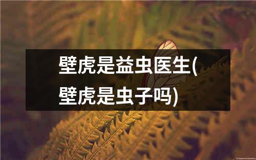 壁虎是益虫医生(壁虎是虫子吗)